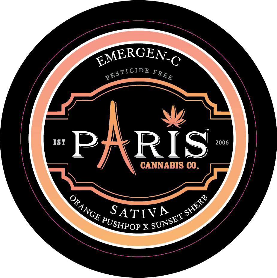 Paris Large Round Stickers
