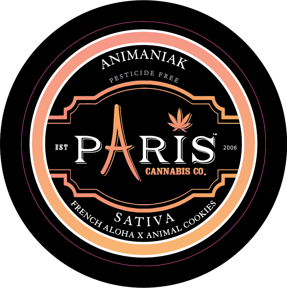 Paris Large Round Stickers