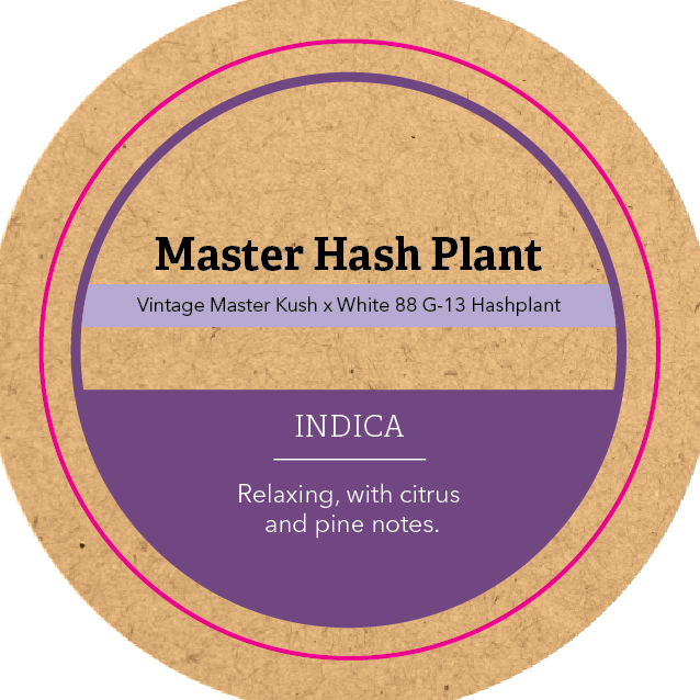 Khush Kush Medium Jar Top