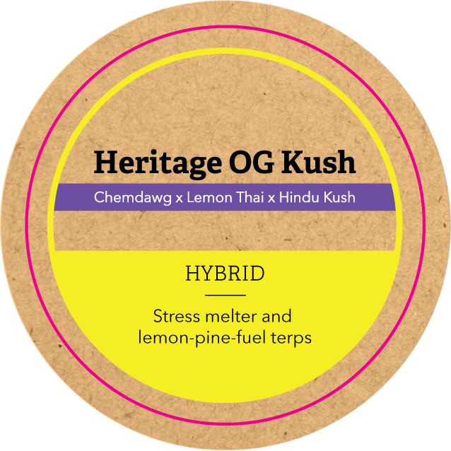 Khush Kush Medium Jar Top