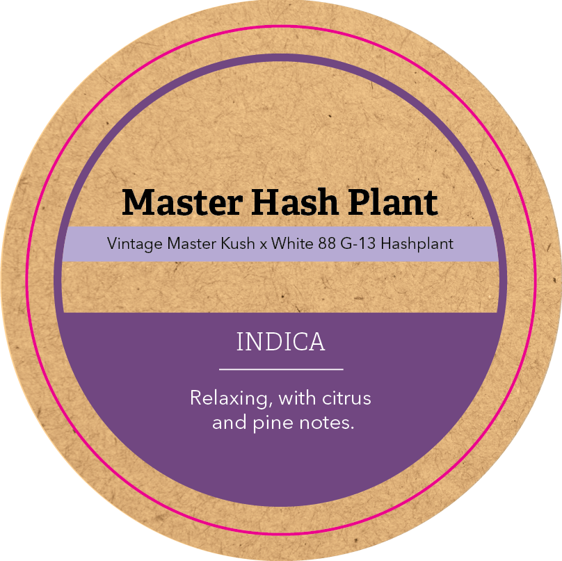 Khush Kush Large Jar Top