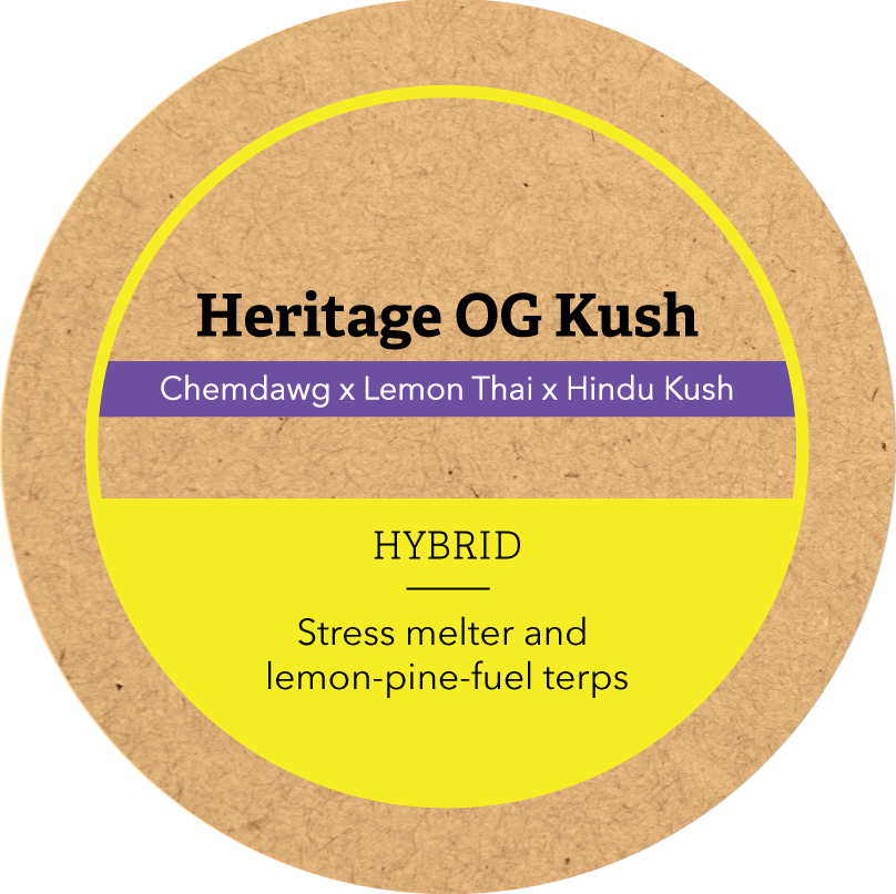Khush Kush Large Jar Top
