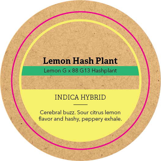 Khush Kush Small Jar Top