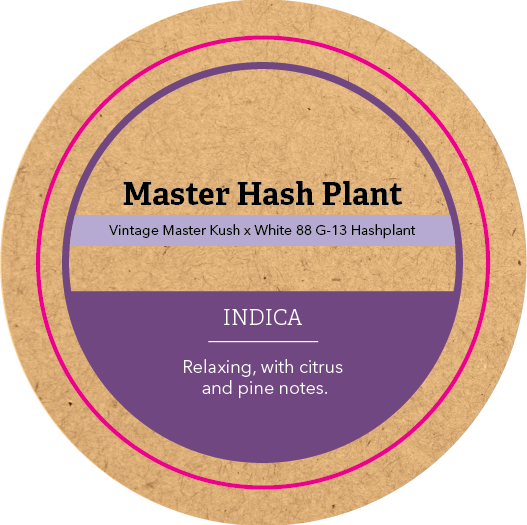 Khush Kush Small Jar Top