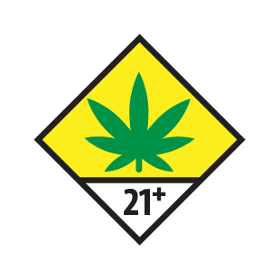 21+ Icon