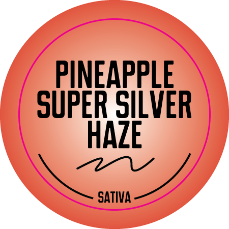 Top Shelf Medium Strain Stickers 1.25in