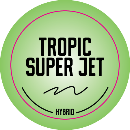 Top Shelf Medium Strain Stickers 1.25in