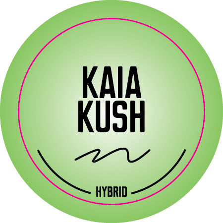 Top Shelf Medium Strain Stickers 1.25in