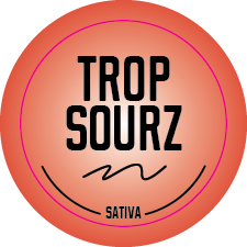 Top Shelf Medium Strain Stickers 1.25in