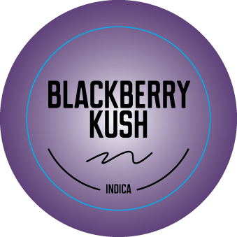Top Shelf Small Strain Stickers 0.875in