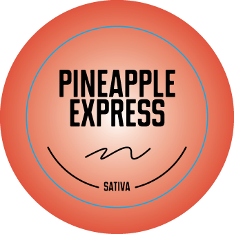 Top Shelf Small Strain Stickers 0.875in