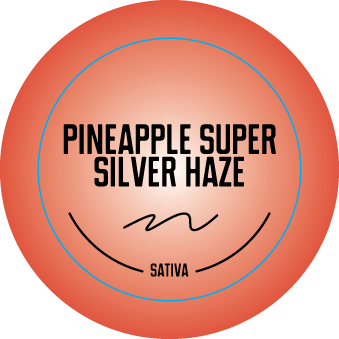 Top Shelf Small Strain Stickers 0.875in