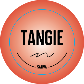 Top Shelf Small Strain Stickers 0.875in