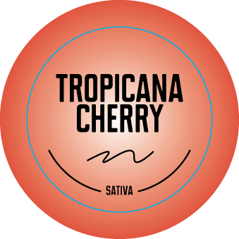 Top Shelf Small Strain Stickers 0.875in