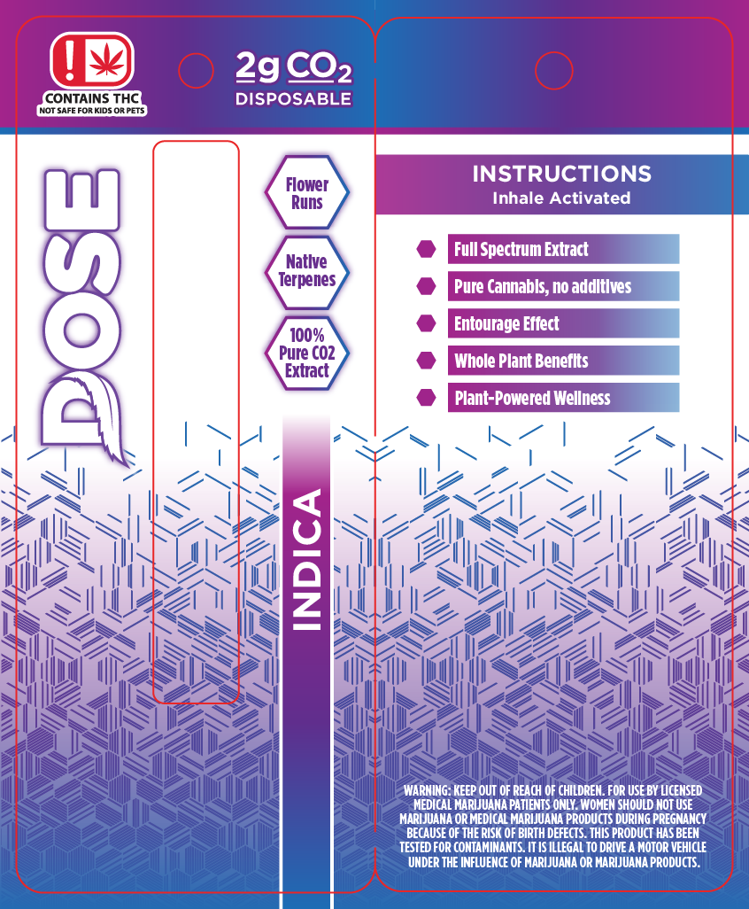 OK - DOSE CO2 2g Disposable