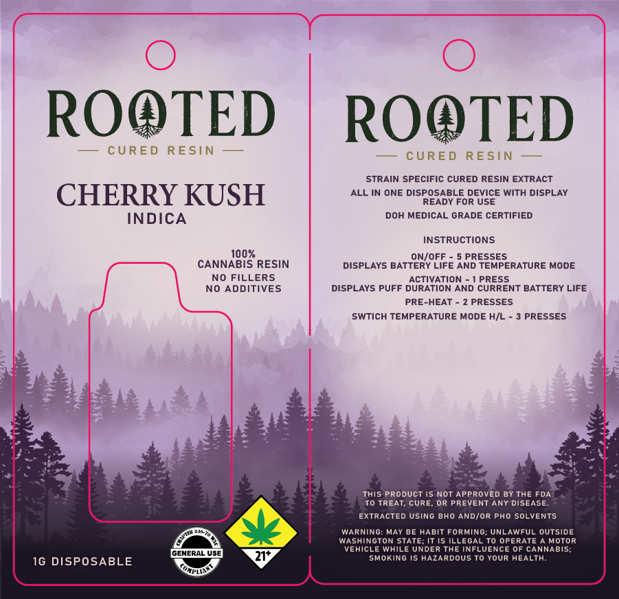 Rooted Vona Disposable