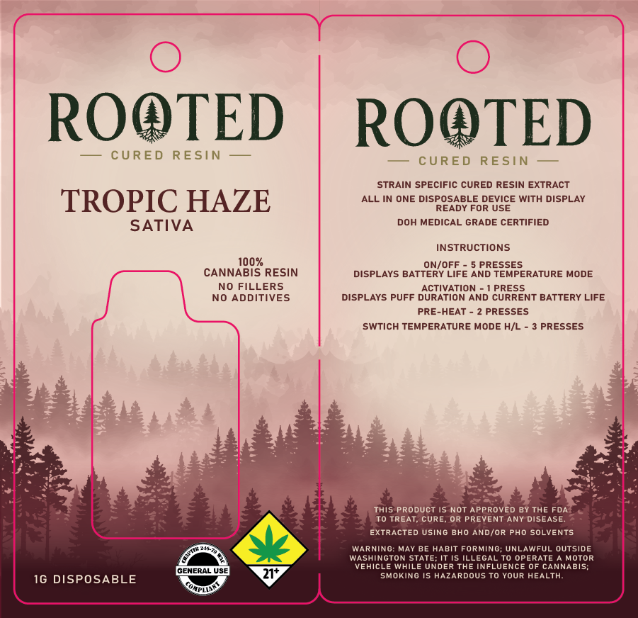 Rooted Vona Disposable