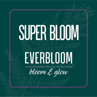 Everbloom 1 Inch Labels