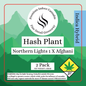 Fine Detail Greenway 2 Pack (4)