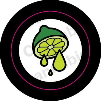 Just Cannabis Strain Dot