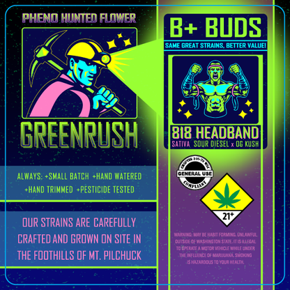 Green Rush B+ Buds