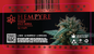 Hempyre Preroll Labels