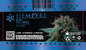 Hempyre Preroll Labels