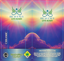 Heavenly Buds Showbox Disposable