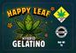 Happy Leaf 3x2 Labels