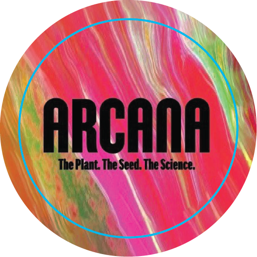 Arcana 1.5in Round Sticker
