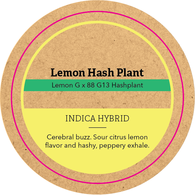 Khush Kush Medium Jar Top