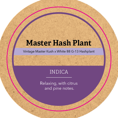 Khush Kush Medium Jar Top