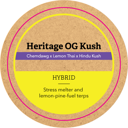 Khush Kush Medium Jar Top