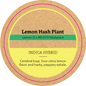 Khush Kush Large Jar Top