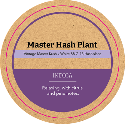Khush Kush Large Jar Top