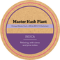 Khush Kush Large Jar Top
