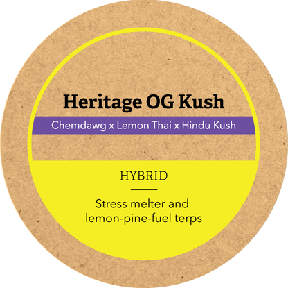 Khush Kush Large Jar Top