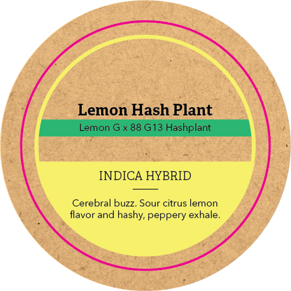 Khush Kush Small Jar Top
