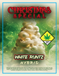 Christmas Joint