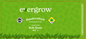Evergrow Prerolls 14x1g