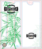 Top Shelf Rex Disposable