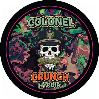 Top Shelf 1.875" Round Strain Stickers