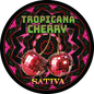 Top Shelf Large Round 2.75" Strain Sticker