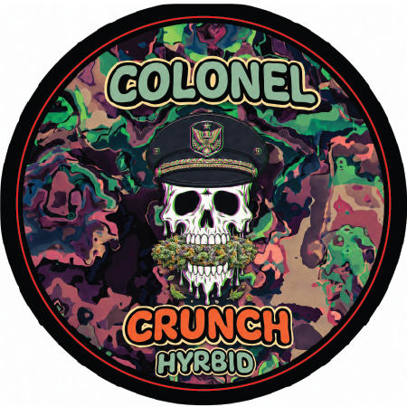Top Shelf Large Round 2.75" Strain Sticker