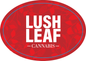 Lush Leaf Cannabis Large Logo Sticker