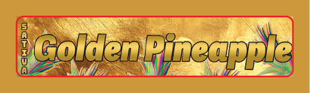 Top Shelf Hash Rosin Joint Strain Stickers