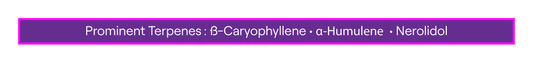 SPP Airgraft Cover Up Terpene Sticker