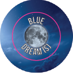 Translucency Strain Sticker 0.5" Round