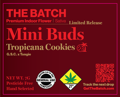 The Batch Mini Buds 7g
